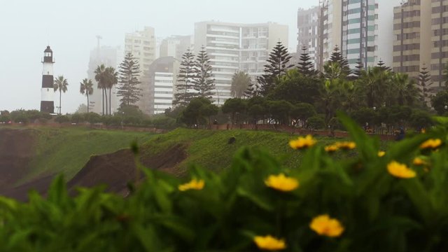 Beautiful footage of cliffside and flowers with buildings in the background in miraflores Lima, Peru on a cloudy day.