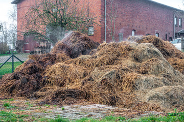 a farm there is a steaming cow dung heap