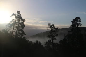 foggy sunrise in the mountains