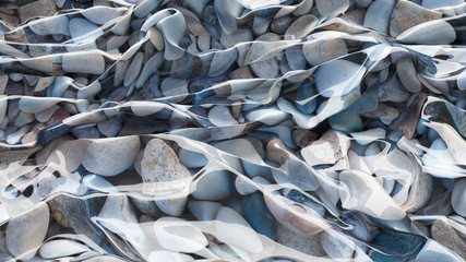 3D Illustration Sea Pebbles Abstraction Texture