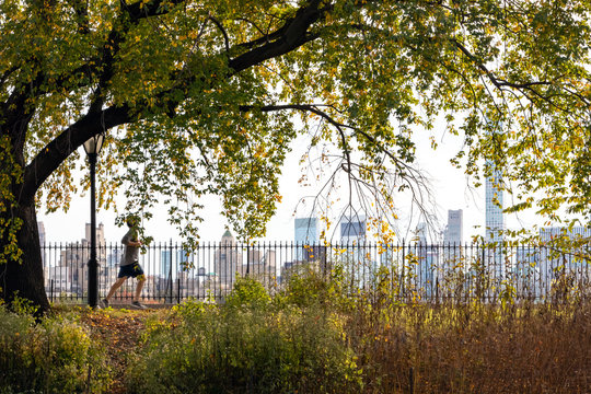 Man running through Central Park fall landscape in New York City with the Manhattan skyline in the background