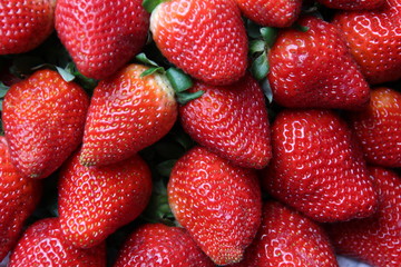 Erdbeeren