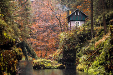 Fototapeta na wymiar Hrensko national park, Bohemian Switzerland in Czech republic, Beautiful nature . 