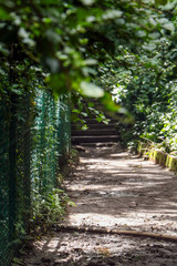 Park view, Park chair, Greenish view