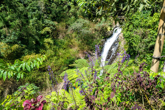 A view on the Gitgit Twin Waterfall in Bali, Indonesia. The waterfall is surrounded by rocks from each side. The slopes of the rocks are overgrown with plants. Wildness and inaccessibility of nature