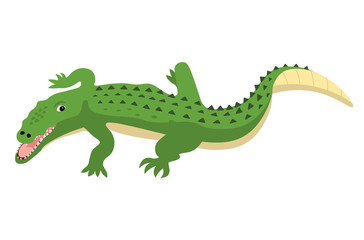 Predatory alligator crocodile with open mouth and fangs, wild animal vector isolated