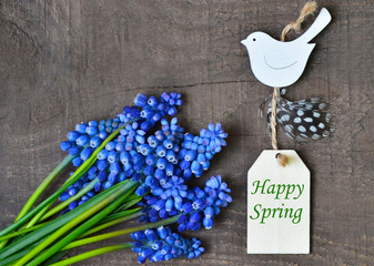 Happy Spring greeting card with blue first spring flowers.Bouquet of Muscari or Grape hyacinth and decorative bird figurine with tag on old wooden background.