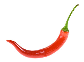 Closeup of red chili pepper isolated on white background