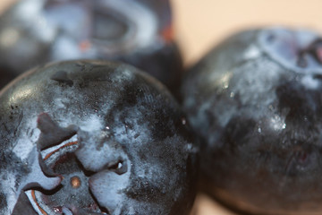 Natural jumbo blueberry sweating fresh and natural forming a fine texture of transparent drops in Mexico