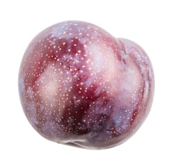 Plum isolated on white background with clipping path
