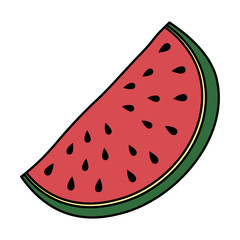 fresh watermelon fruit isolated icon