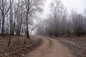 Łagodna zima na Podlasiu. Dolina Narwi. Krajobraz z mgłą i szronem. Polska