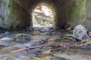 Fototapeta premium old stone bridge in the forest