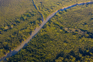 aerial view of Sundarbans