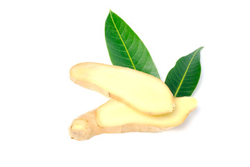 Ginger root and slices with leaves isolated on white background, herb medical concept