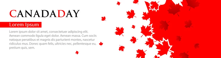 Fotobehang Panoramic banner for Canada Day. Red maple leaves fly on a white background. Template with place for your text, copy space. Vector illustration © art_rich