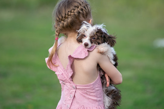 closeup back view little girl hugs puppy tightly chinese crested dog on a pink dress in green background