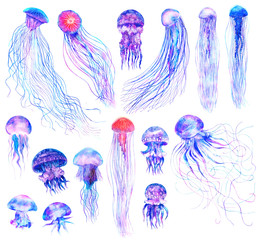 Watercolor jellyfish set in modern bright colors isolated on white background underwater vivid illustration in large size Design element in magic style, purple blue violet glow pink fluid colorful © JuAngelArts