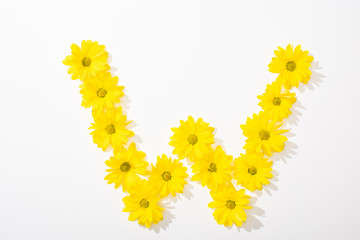 top view of yellow daisies arranged in letter W on white background