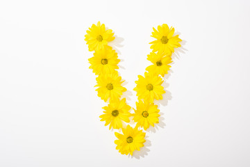 top view of yellow daisies arranged in letter V on white background