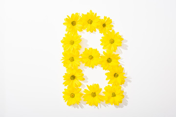 Obraz premium top view of yellow daisies arranged in letter B on white background