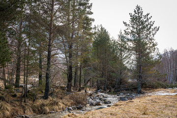 Vielha in Vall d'Aran, Catalonia (Spain).