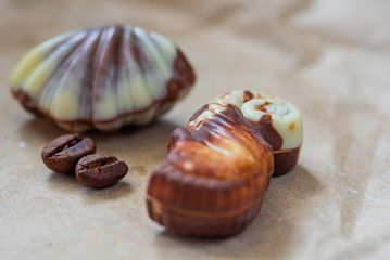 Belgian chocolate shell-shaped on a light paper background.