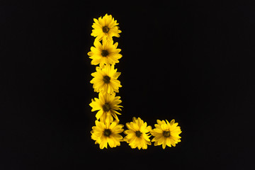 top view of yellow daisies arranged in letter L isolated on black