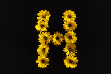 top view of yellow daisies arranged in letter H isolated on black