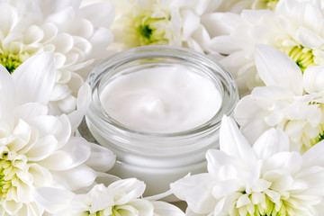 Obraz na płótnie Canvas Facial moisturizing cream in an open glass jar surrounded by white lush chrysanthemum flowers. Beauty, skincare and cosmetology concept.