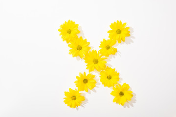 top view of yellow daisies arranged in letter X on white background