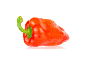 Sweet red pepper close-up on a white background.