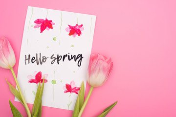 Top view of tulips and card with hello spring lettering on pink background