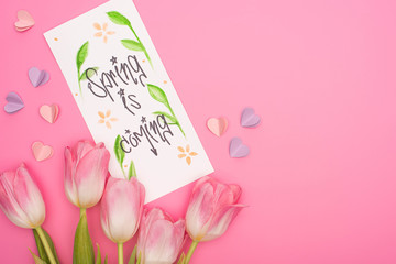 Top view of tulips, card with spring is coming lettering and decorative hearts on pink