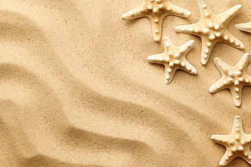 Fototapeta na wymiar Starfishes On The Sand Background