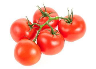 Fresh cherry tomatoes isolated on a white background. Tomato branch.