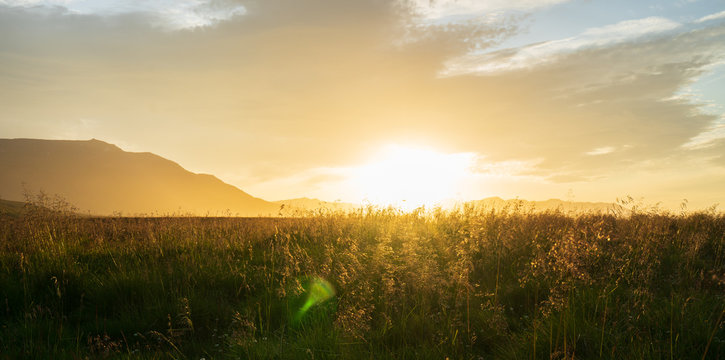 beautiful sunset in iceland, sun setting behing grass
