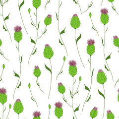 Floral blossom seamless pattern with cornflower. Trendy colorful vector texture. Blooming botanical elements scattered random. Ditsy print. Hand drawn small flowers on white background. Retro style