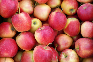 Gala apples in the farmers market. Background of red apples