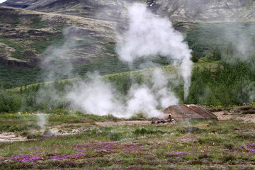 old faithful geyser in iceland