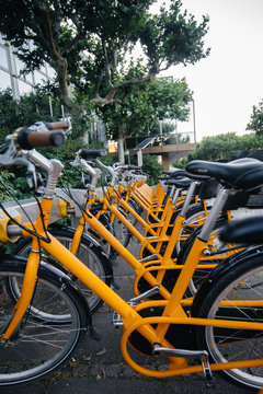 Bicycle rental for public use orange color close-up. Environmentally friendly transport