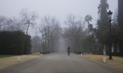 Street covered in fog 