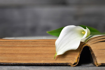 Sympathy card with white calla on open book