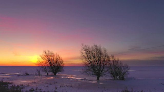Dawn aerial flight over Lake Michigan shoreline wilderness with colorful sky, waters so high that trees are now out in the frozen lake.