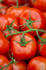 A full frame photograph of tomatoes for sale on a market stall