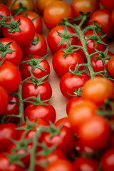 A full frame photograph of tomatoes for sale on a market stall