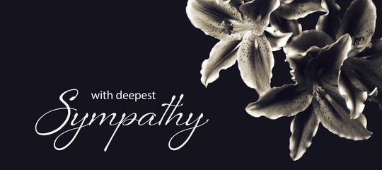 Sympathy card with lily flowers isolated on dark background