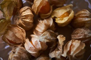 Close-up view of the ripe cape gooseberries