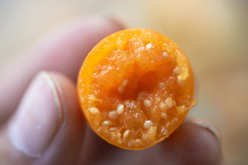 Close-up view of hand holding a cape gooseberry with bitten mark