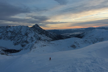 Krywań na tle zachodzącego słońca